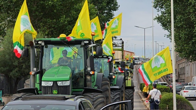 Cinghiali 20mila Agricoltori In Piazza Per Fermare L Invasione