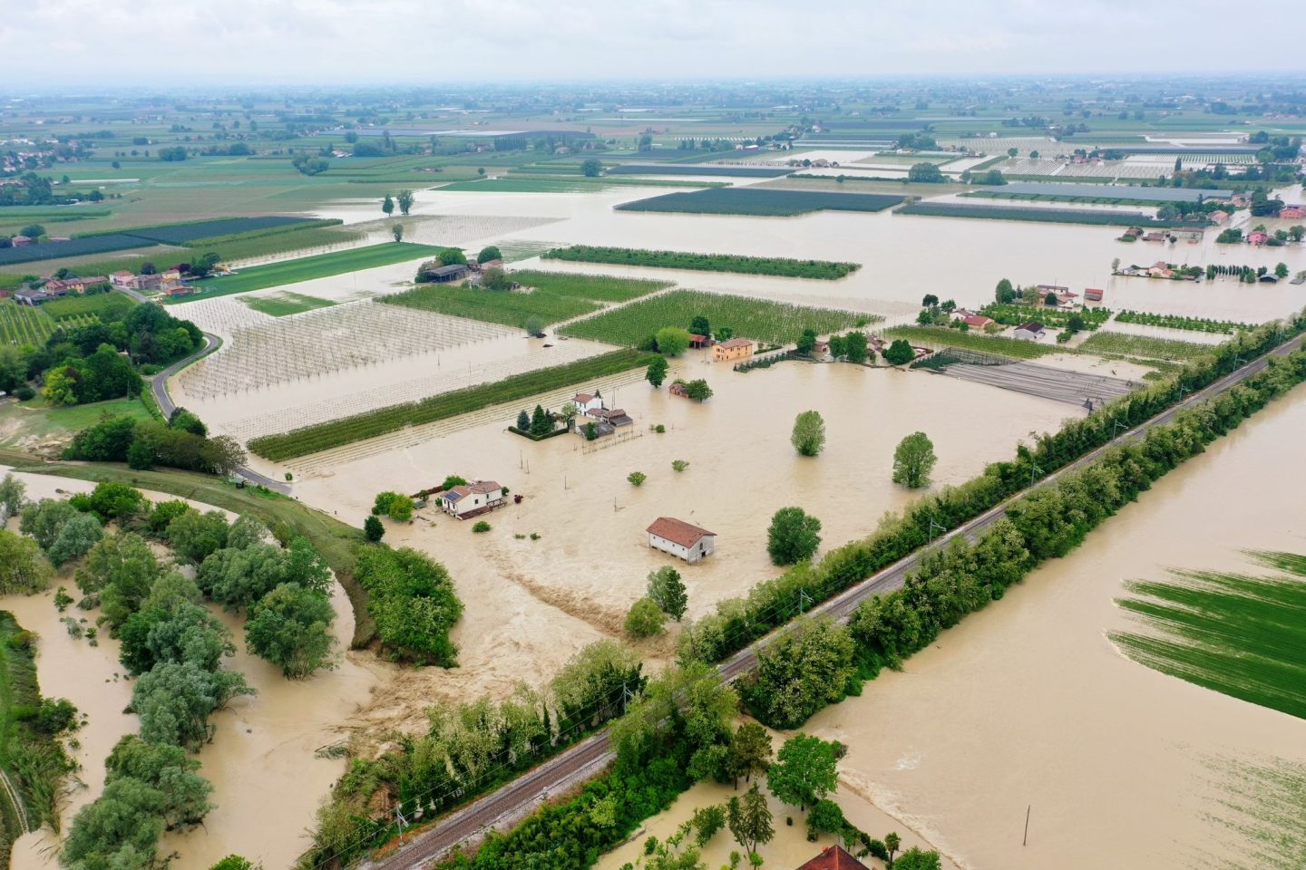 Alluvione Natura Sconvolta Dalle Api Ai Lombrichi Coldiretti